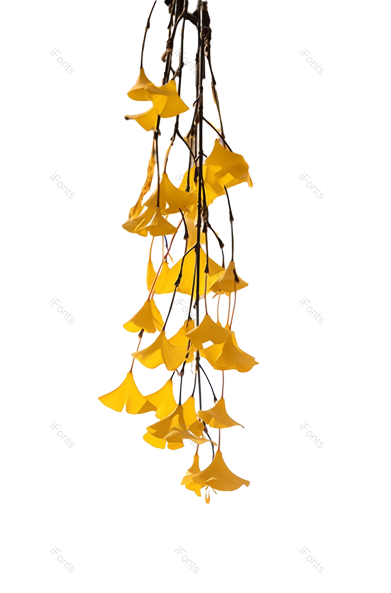 户外图片,中国元素元素,建筑PNG,植物免抠素材